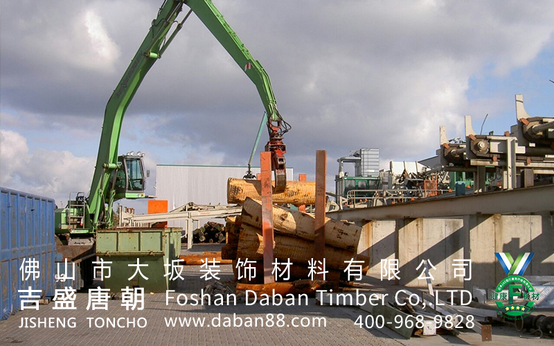 大坂木业：怎样才算真正的优质夹板？